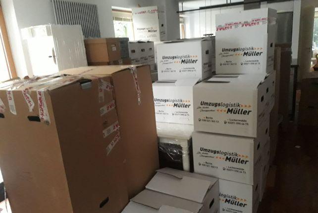 Labor Umzug preise erfahren in Werdau